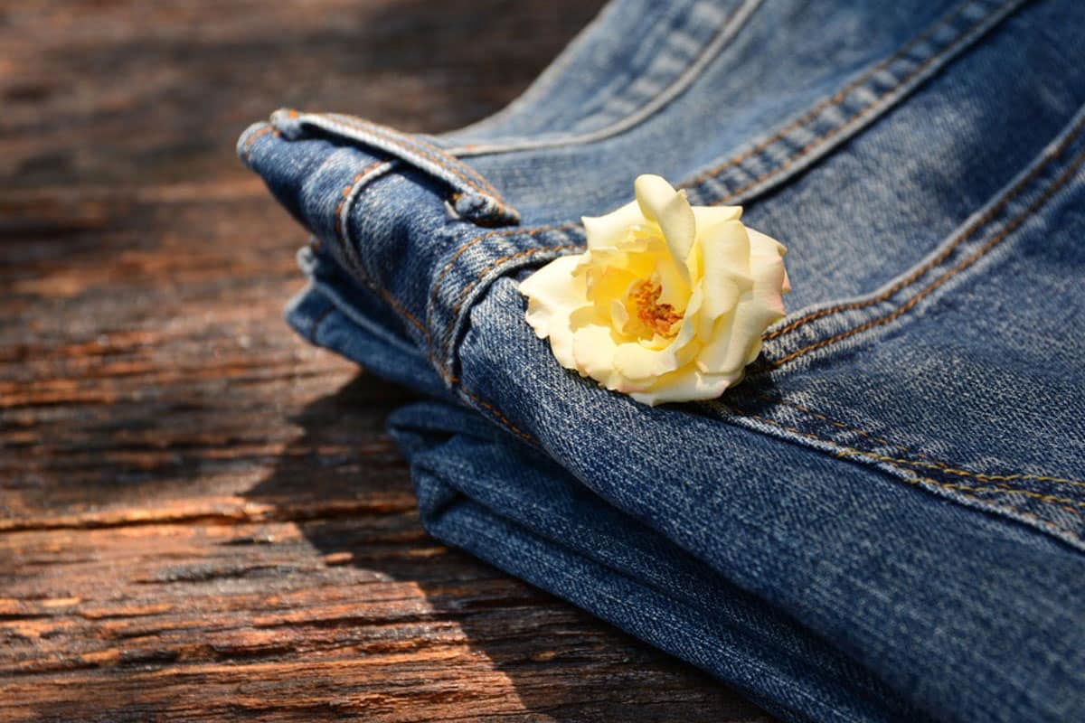Organic Denim: This Is How Fashion Can Be Sustainable · Shaft Jeans